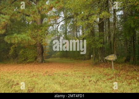 Etats-Unis, Sud profond, Mississippi, Canton, Natchez Trace, Banque D'Images