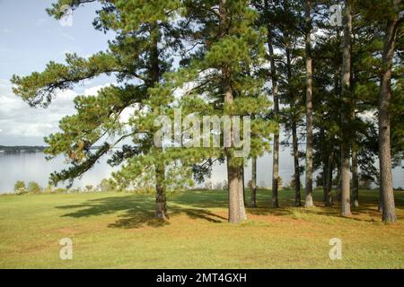 Etats-Unis, Sud profond, Mississippi, Canton, Natchez Trace, Banque D'Images