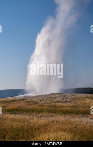 Un cliché vertical du geyser Old Faithful émergeant sous un ciel bleu dans le Wyoming, aux États-Unis. Banque D'Images