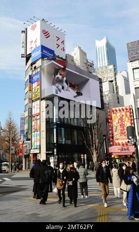 Piétons traversant la rue sous le panneau d'affichage Cat 3D à Shinjuku, Tokyo, Japon. Banque D'Images