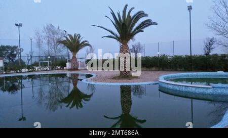 belle piscine avec palmiers au crépuscule Banque D'Images