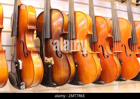 Violons exposés dans la boutique de musique Banque D'Images