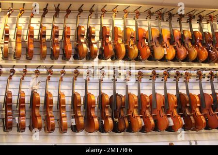 Violons exposés dans la boutique de musique Banque D'Images