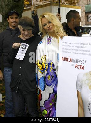 Pamela Anderson porte une robe printanière colorée lors d'une journée très rêveuse à Toronto alors qu'elle est rejointe par le designer de mode Richie Rich et le vice-président du PETA Dan Mathews pour dévoiler la nouvelle campagne de PETA contre l'abattage commercial de phoques au Canada. La série publicitaire présente PAM et d'autres célébrités qui appellent à la fin du massacre annuel des bébés phoques, la plus grande tuerie de masse de mammifères marins au monde. Dans le cadre de l'événement, elle a posé en embrassant un « bébé sceau » géant à l'extérieur de l'édifice de l'Assemblée législative de l'Ontario. « Je ne peux qu'espérer qu'en portant l'attention sur l'abattage, le tollé international va nous pardonner Banque D'Images