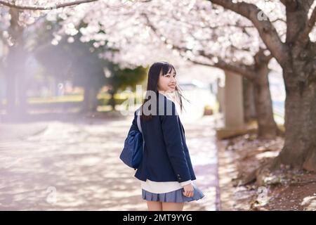 Portrait d'étudiant japonais de lycée avec fleurs de cerisier en pleine floraison Banque D'Images