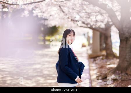 Portrait d'étudiant japonais de lycée avec fleurs de cerisier en pleine floraison Banque D'Images