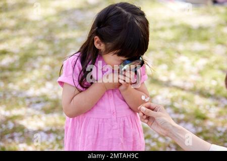 Portrait d'enfant japonais avec fleurs de cerisiers en fleurs Banque D'Images