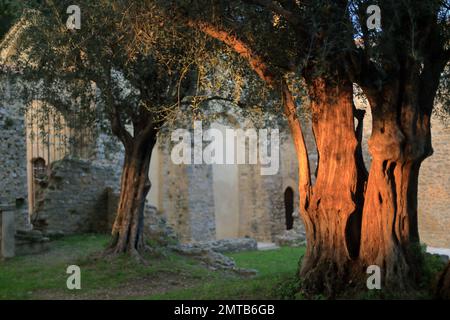 Église notre Dame du Brusc, Châteauneuf de Grasse, Alpes Maritimes, 06, Côte d'Azur, France Banque D'Images