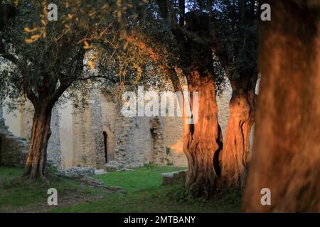 Église notre Dame du Brusc, Châteauneuf de Grasse, Alpes Maritimes, 06, Côte d'Azur, France Banque D'Images