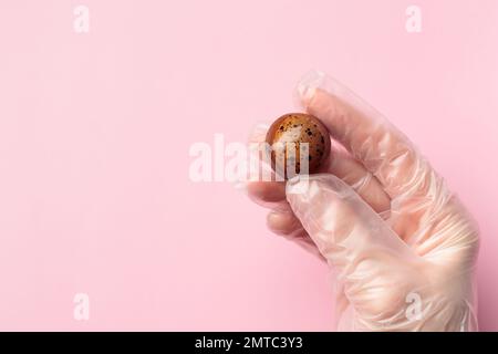 Bonbon au chocolat peint fait à la main dans une main humaine. Délicieux dessert sur fond rose avec espace publicitaire Banque D'Images