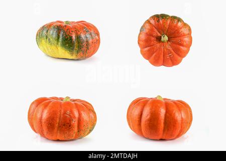 Collection de citrouilles isolées sur blanc avec ombre et réflexion subtile. Citrouilles mûres, citrouilles orange-vertes. Récolte. Banque D'Images