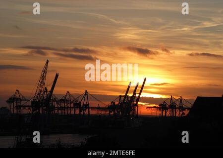 Burchardkai Container terminal im Hafen Hamburg an der Elbe / Containerbrücke / Containerkran / Portainer / Portalkran Banque D'Images