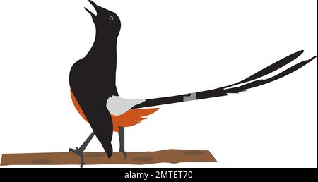 Illustration vectorielle d'un oiseau qui gazouillis. Peut être utilisé comme un logo, une marque et une mascotte très attrayants. Illustration de Vecteur