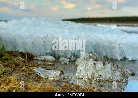 Les restes de la dernière glace de printemps sur la rivière fondent près de la rive sur la toile de fond de la forêt. Banque D'Images