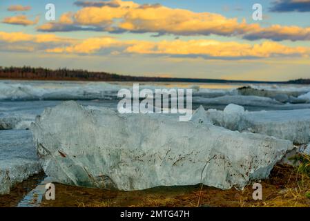 Les derniers floes de glace fondent sur les rives printanières de la rivière Vilyui, dans le nord de Yakutia. Banque D'Images