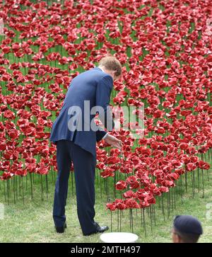 Catherine, duchesse de Cambridge, Prince William, duc de Cambridge et Prince Harry marchent à travers la mer de coquelicots en céramique à la Tour de Londres pour honorer ceux qui ont perdu la vie en WW1. Londres, Royaume-Uni. 5th août 2014. Banque D'Images