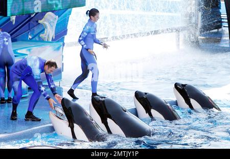 SeaWorld Orlando a lancé son nouveau spectacle d'orques « One Ocean » aujourd'hui dans une maison complète. Le spectacle a eu lieu au Shamu Stadium, à l'intérieur du parc de renommée mondiale, et a divertit tout le monde avec de la musique et des représentations théâtrales de baleines. Orlando, Floride 04/22/11. Banque D'Images