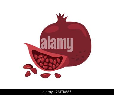 Fruit de grenade entière et couper tranche de grenade avec des graines sucrées isolées sur fond blanc.Flatt Vector Illustration Banque D'Images