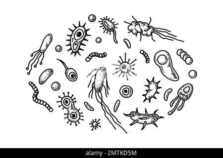 Ensemble de bactérias et micro-organismes dessinés à la main. Illustration vectorielle dans le style d'esquisse. Conception scientifique réaliste en microbiologie Illustration de Vecteur