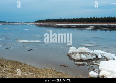 Les restes de la dernière glace de printemps sur la rivière de Yakutia flottent près de la rive dans l'eau avec des réflexions. Banque D'Images