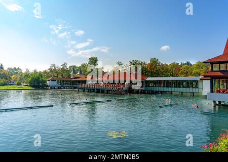 Célèbre Heviz balneal bain thermal de source chaude en Hongrie avec des fleurs . Banque D'Images