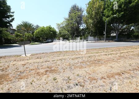 EXCLUSIF !! - Simon Cowell a-t-il rejoint l’élite de Beverly Hills qui ignore les restrictions strictes de Los Angeles en matière d’eau ? Son manoir de Beverly Hills, recherché par Palm Drive, est à l'intérieur de la vue des zones de la ville où l'eau a été coupée en raison de la sécheresse record de cinq ans en Californie du Sud, mais sa propriété reste luxuriante et verte. La médiane de l’herbe jaune du Sunset Boulevard, 50ft à droite, clairement indiquée par des avertissements de sécheresse, correspond à la pelouse en train de mourir du voisin de Cowell, 50ft à gauche de sa propriété à Los Angeles, en Californie. 1st août 2016. Banque D'Images