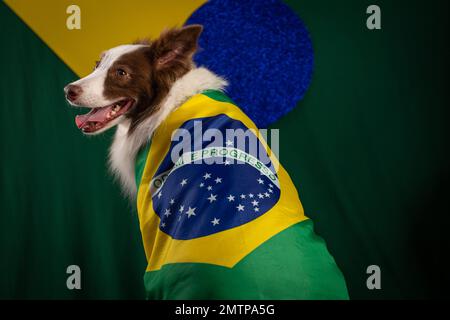 Un chien Border Collie cool portant le drapeau du Brésil soutenant le monde du football Banque D'Images