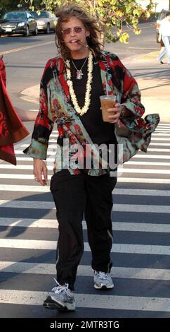 EXCLUSIF !! Un look sain et heureux Steven Tyler a été repéré à l'extérieur et à propos avec Erin Brady à Hawaï hier. Il a attrapé un café glacé et a roulé le long de fumer un cigare. La rockstar récemment rehabbed s'est également trompée autour de porter une fleur de tradition Lei autour de sa tête. Maui, Hawaï. 3/19/10. . Banque D'Images