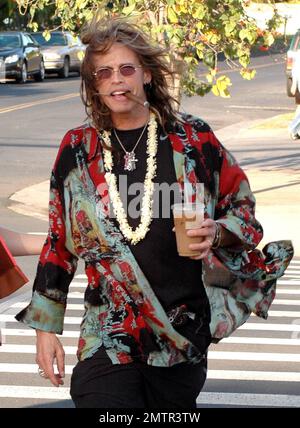 EXCLUSIF !! Un look sain et heureux Steven Tyler a été repéré à l'extérieur et à propos avec Erin Brady à Hawaï hier. Il a attrapé un café glacé et a roulé le long de fumer un cigare. La rockstar récemment rehabbed s'est également trompée autour de porter une fleur de tradition Lei autour de sa tête. Maui, Hawaï. 3/19/10. . Banque D'Images