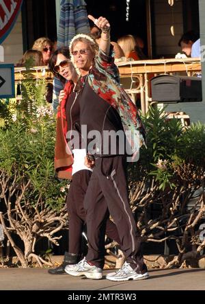 EXCLUSIF !! Un look sain et heureux Steven Tyler a été repéré à l'extérieur et à propos avec Erin Brady à Hawaï hier. Il a attrapé un café glacé et a roulé le long de fumer un cigare. La rockstar récemment rehabbed s'est également trompée autour de porter une fleur de tradition Lei autour de sa tête. Maui, Hawaï. 3/19/10. . Banque D'Images