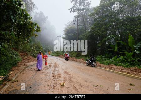 Embouteillage sur une route de montagne. Arbre tombé bloquant la route. Conséquences d'un ouragan et d'un dérapage. Banque D'Images