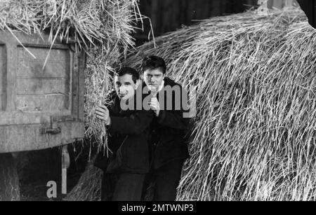 Tête contre les murs, la année : 1959 France Charles Aznavour, Jean-Pierre Mocky Directeur : Georges Franju Banque D'Images