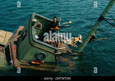 JAWS année : 1975 Etats-Unis Directeur : Steven Spielberg Roy Scheider Banque D'Images