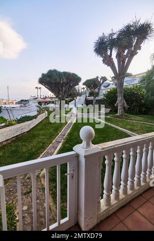 Vue générale depuis la rampe d'un appartement de vacances et en arrière-plan un petit groupe de dragon dans la ville de Tacoronte à Tenerife, Canaries Banque D'Images