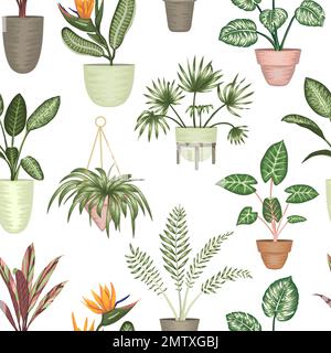 Vecteur sans couture de la maison tropicale dans des pots isolés sur fond blanc. Strelitzia, monstère, alocasie, dieffenbachia, Illustration de Vecteur