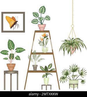 Illustration vectorielle de plantes d'intérieur tropicales dans des pots sur un stand isolé sur fond blanc. Monstère réaliste, alocasie, dieffenbachia, cordy Illustration de Vecteur