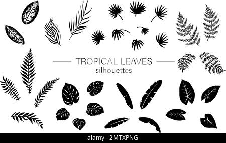 Ensemble vectoriel de feuilles de plantes tropicales silhouettes. Pochoirs de feuillage de jungle. Palmier dessiné à la main, banane, monstère, dieffenbachia, fougère, alocasie. Illustration de Vecteur