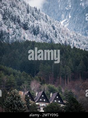 chalets en bois dans une forêt de contes de fées d'hiver Banque D'Images