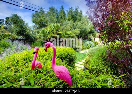 Selon les rapports Tori Spelling et le mari Dean McDermott ont énuméré leur maison Malibu pour la vente à un prix demandé de $2,675 millions de dollars. Le bungalow point Dume California de 1,73 hectares dispose de 3 chambres et 2,5 salles de bains avec des planchers de chêne français vieux de 100 ans, la cuisine du chef, ses et ses placards principaux, un plan d'étage idéal avec des curseurs personnalisés et de grandes fenêtres donnant la possibilité de profiter de l'extérieur. La propriété privée et sereine avec des droits de plage convoités dispose d'un paysage luxuriant indigène et mature avec un grand jardin biologique, des arbres fruitiers et une cour herbeuse. Banque D'Images