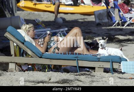 EXCLUSIF !! L'actrice enceinte et auteure Tori Spelling porte un maillot de bain à motifs alors qu'elle se détend sur la plage avec ses chiens et son fils Liam pendant les vacances du 4 juillet à Malibu, en Californie. 7/4/11. . Banque D'Images