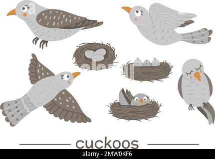 Ensemble vectoriel de style de dessin animé main plate couckoos drôles dans différentes poses. Illustration mignonne des oiseaux des bois pour le dessin des enfants. Illustration de Vecteur