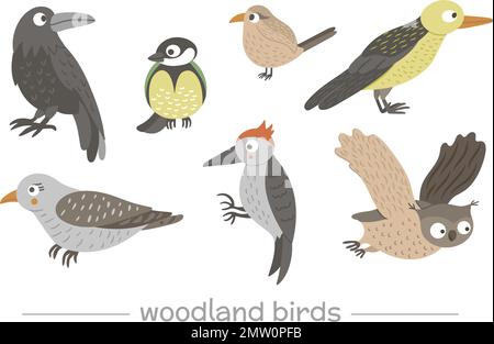 Ensemble vectoriel de style de dessin animé plat coucou drôle couckoos, woodpeckers, hiboux, corbeau, wren. Illustration mignonne des oiseaux des bois pour le dessin des enfants. Illustration de Vecteur