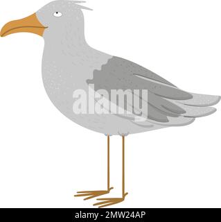 Illustration vectorielle d'un mouette drôle. Vue d'oiseau de la ville de mer isolée sur fond blanc. Clip art plat à motif personnages mignons Illustration de Vecteur