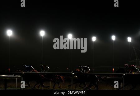 Les coureurs et les cavaliers de l'Unibet soutiennent Safe Gambling handicap (6) (D.II) au champ de courses de Kempton Park, Sunbury-on-Thames, Surrey. Date de la photo: Mercredi 1 février 2023. Banque D'Images