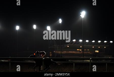 Les coureurs et les cavaliers de l'Unibet soutiennent Safe Gambling handicap (6) (D.II) au champ de courses de Kempton Park, Sunbury-on-Thames, Surrey. Date de la photo: Mercredi 1 février 2023. Banque D'Images