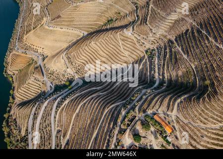 Vue aérienne de la vallée du Douro. Vignobles en terrasse et paysage près de Pinhao, Portugal. Région viticole portugaise. Beau paysage d'automne.Voyage concept Banque D'Images