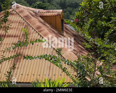 vue rapprochée d'un toit en métal ondulé brun rouille avec rivets de rebord de fenêtre de dormer entourés de branches d'arbres Banque D'Images