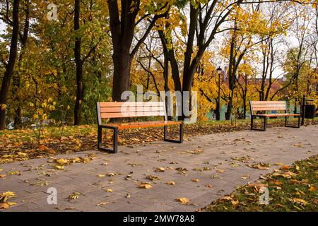 Banc d'automne dans un parc plein de feuilles jaunes en chute. Banque D'Images