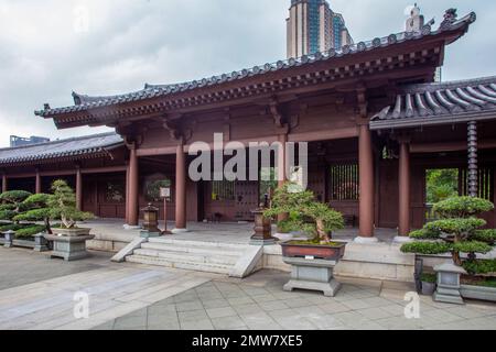 Des bonsaïs étonnants sur des stands et un étang avec des nénuphars et des pagodes bouddhistes en bois dans le jardin de Nan Lian et un gratte-ciel résidentiel derrière Banque D'Images