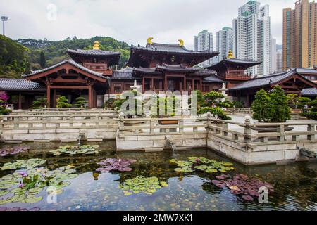 Des bonsaïs étonnants sur des stands et un étang avec des nénuphars et des pagodes bouddhistes en bois dans le jardin de Nan Lian et la montagne verte - arrière et tour de spot Banque D'Images